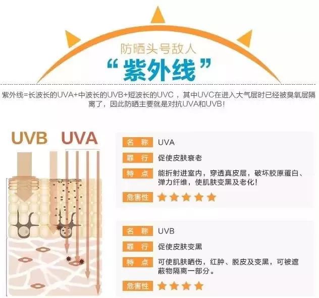 2025澳门特马网站www与2025新澳门天天免费精准-与警惕虚假宣传-全面释义、解释与落实
